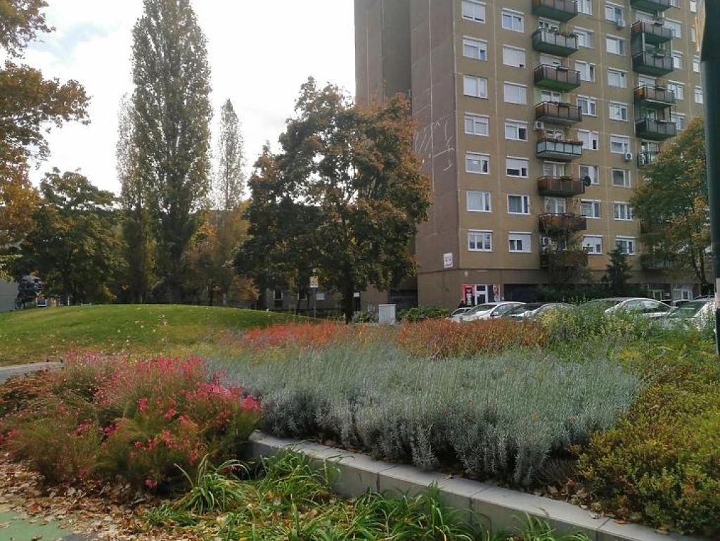 Eladó panellakás, Budapest IV. kerület, Újpest