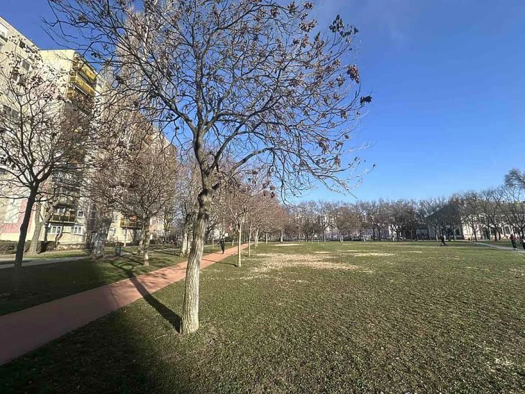 For sale panel flat, Budapest IV. kerület, Újpest