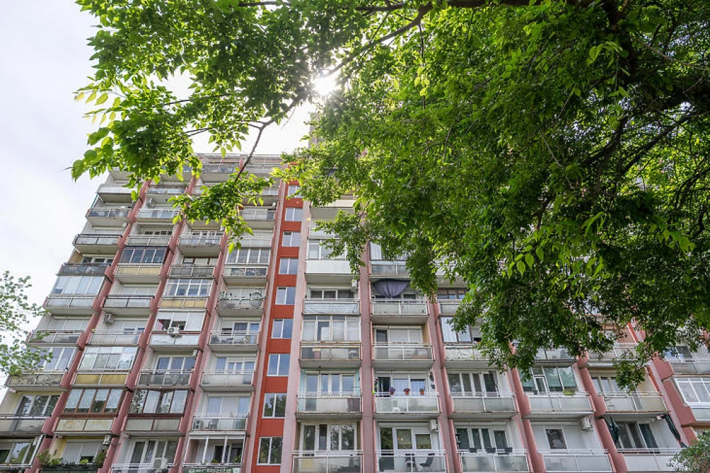 c3-1-name c2-20-name, Budapest XXI. kerület, Csepel-Erdőalja