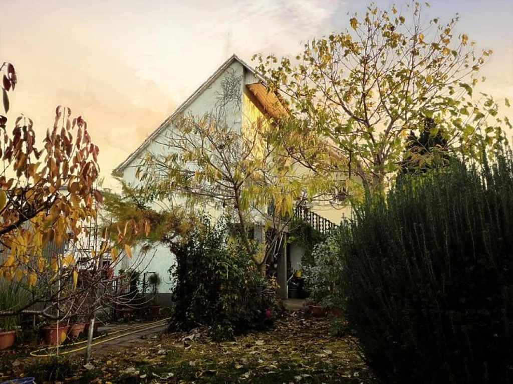 For sale house, Budapest XVII. kerület, Rákoskert