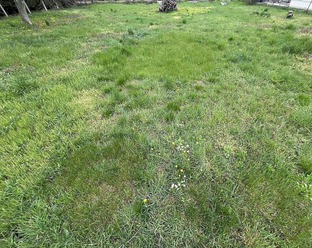 Eladó építési telek, Budapest XVII. kerület, Rákoscsaba-Újtelep