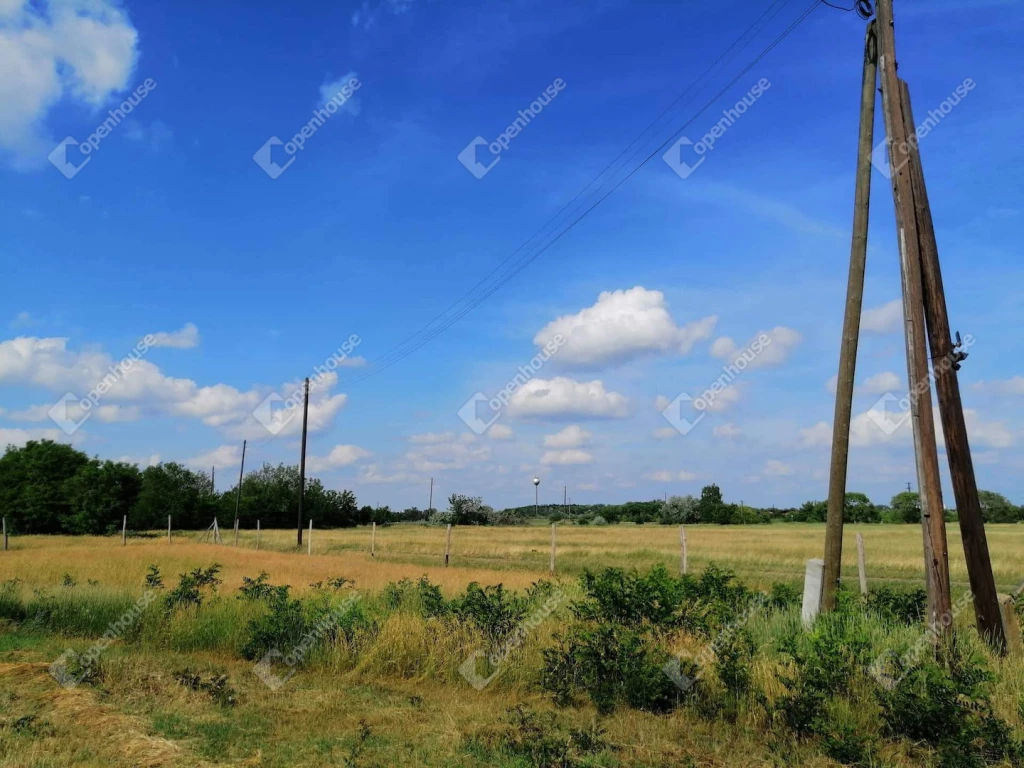 Szentes határában földterület eladó.