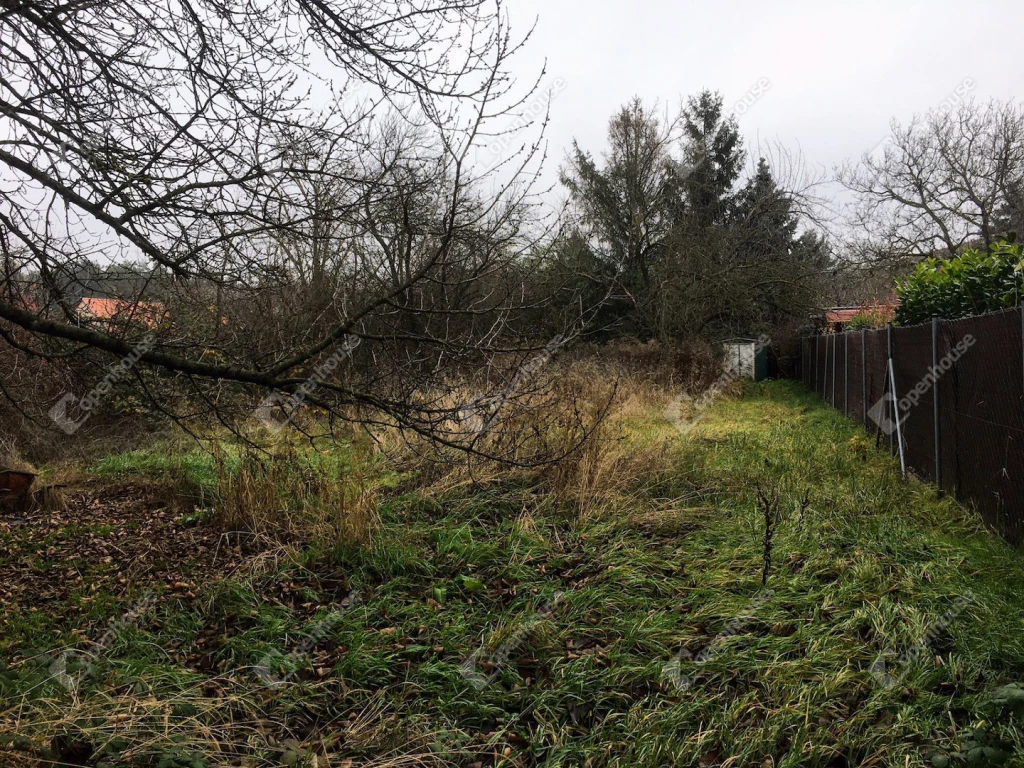 400 m2 -es összközműves nyelestelek eladó Újszegeden