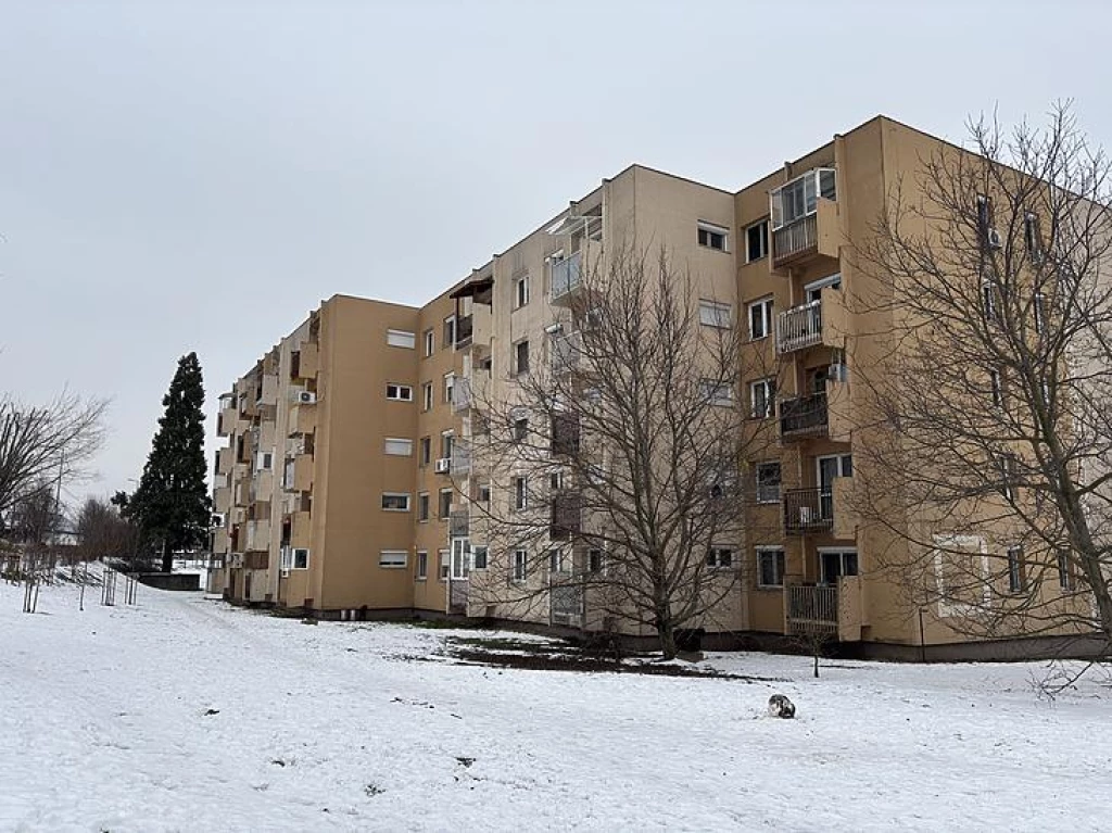 For sale panel flat, Budapest III. kerület, Békásmegyer
