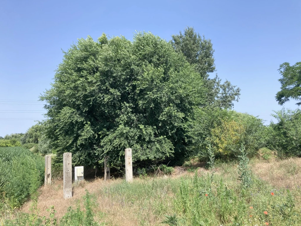 Eladó Telek, Debrecen Tündérkert utca 4.900.000 Ft