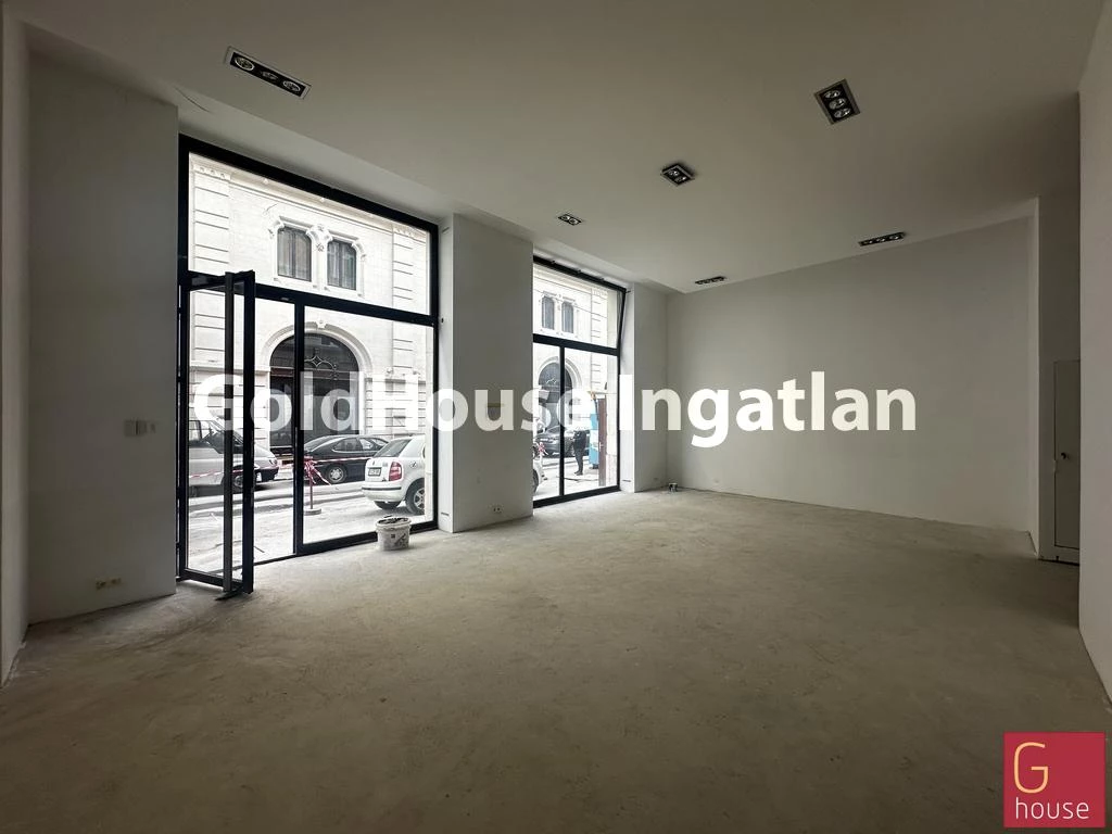 For rent store, Budapest VI. kerület, Budapest VI. kerület Paulay Ede utca