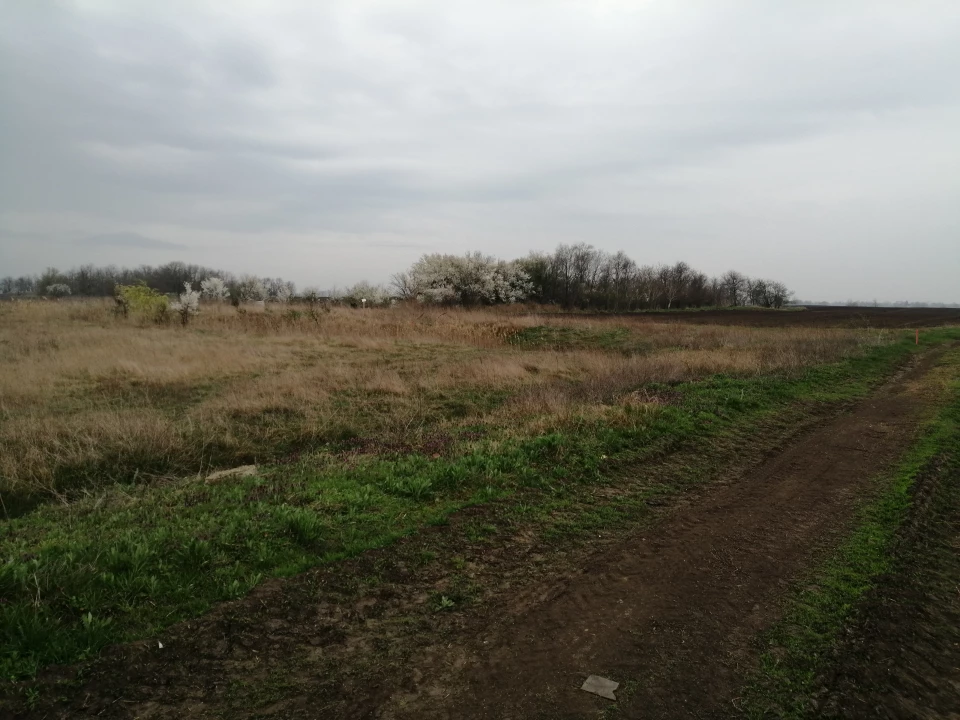 For sale plough-land, pasture, Kiskunfélegyháza