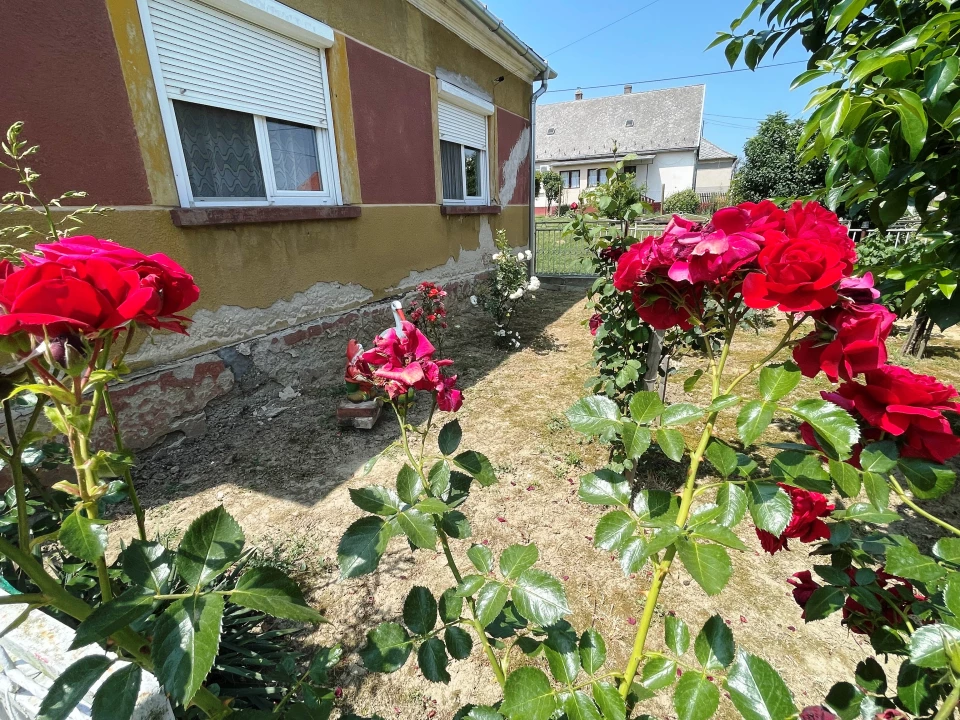 Eladó családi ház, Fityeház