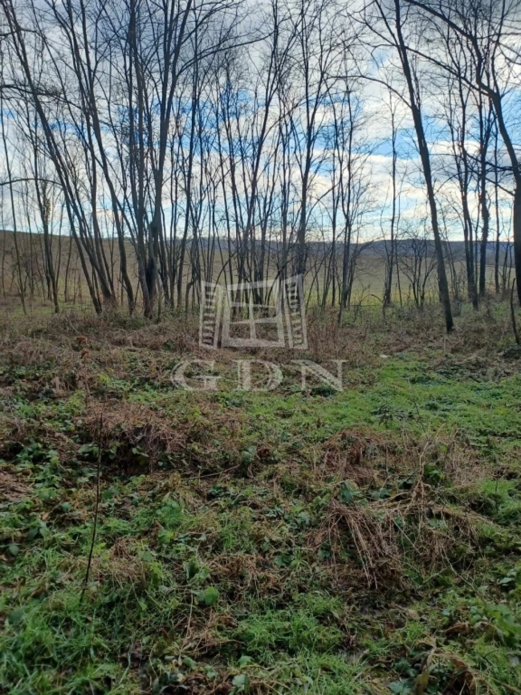 Eladó erdő, Sárhida, Sárhida