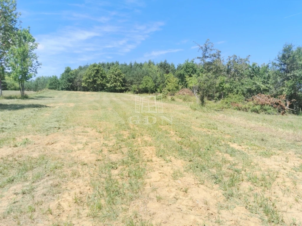 Eladó építési telek, Böde, Panorámás telek erdő mellett!