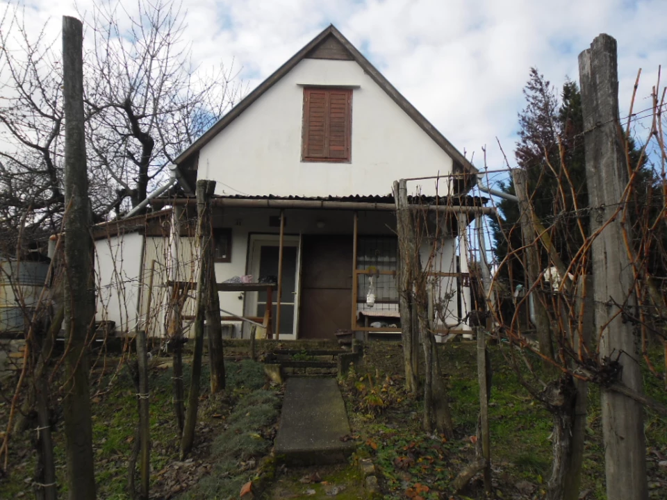 For sale orchard, Szekszárd