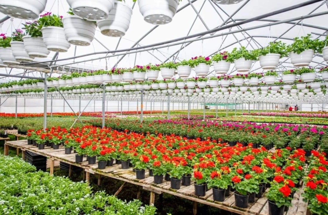 Eladó egyéb mezőgazdasági ingatlan, Telkibánya