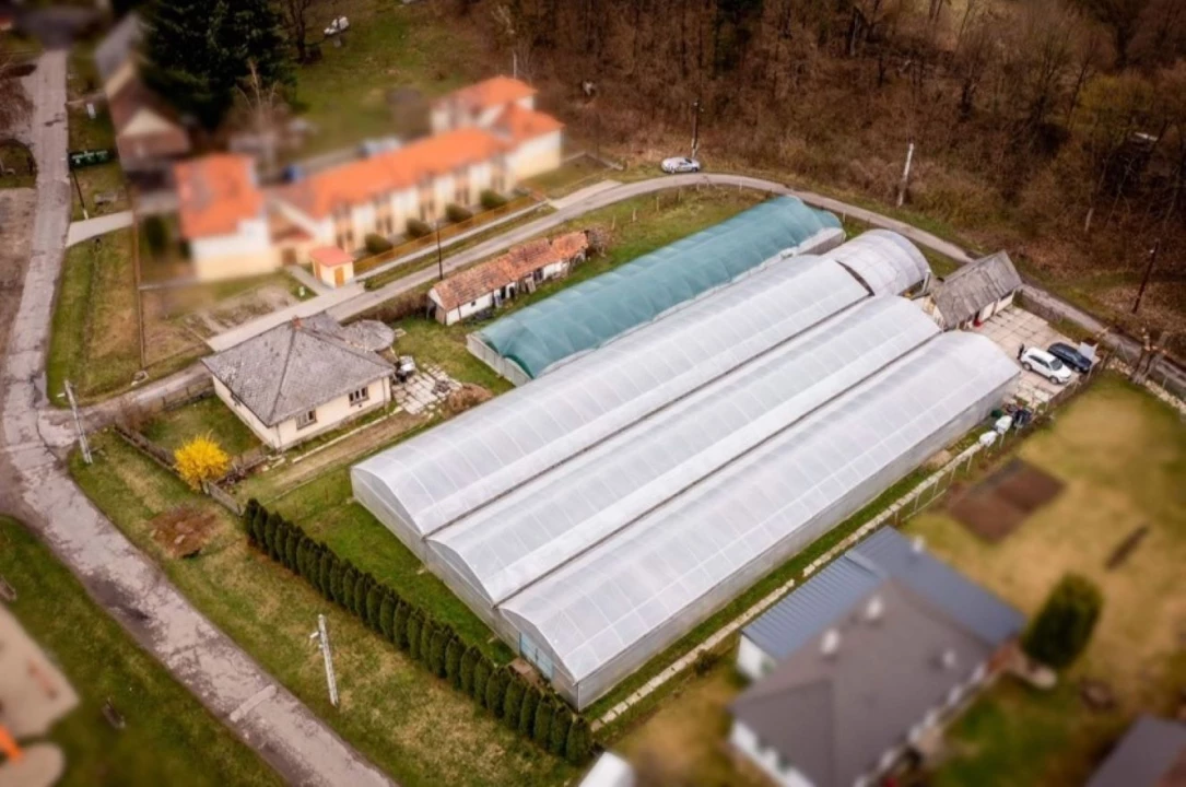 Eladó családi ház, Telkibánya