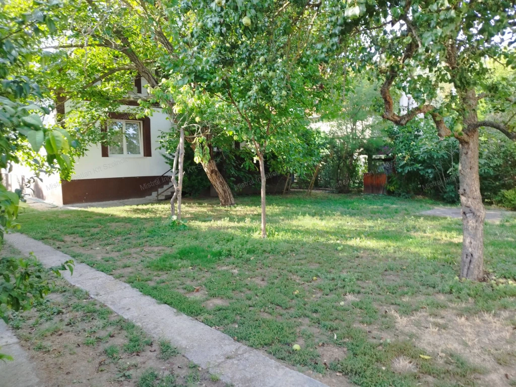 Alcsi- Holt- Tisza közeli kertes családi ház eladó !