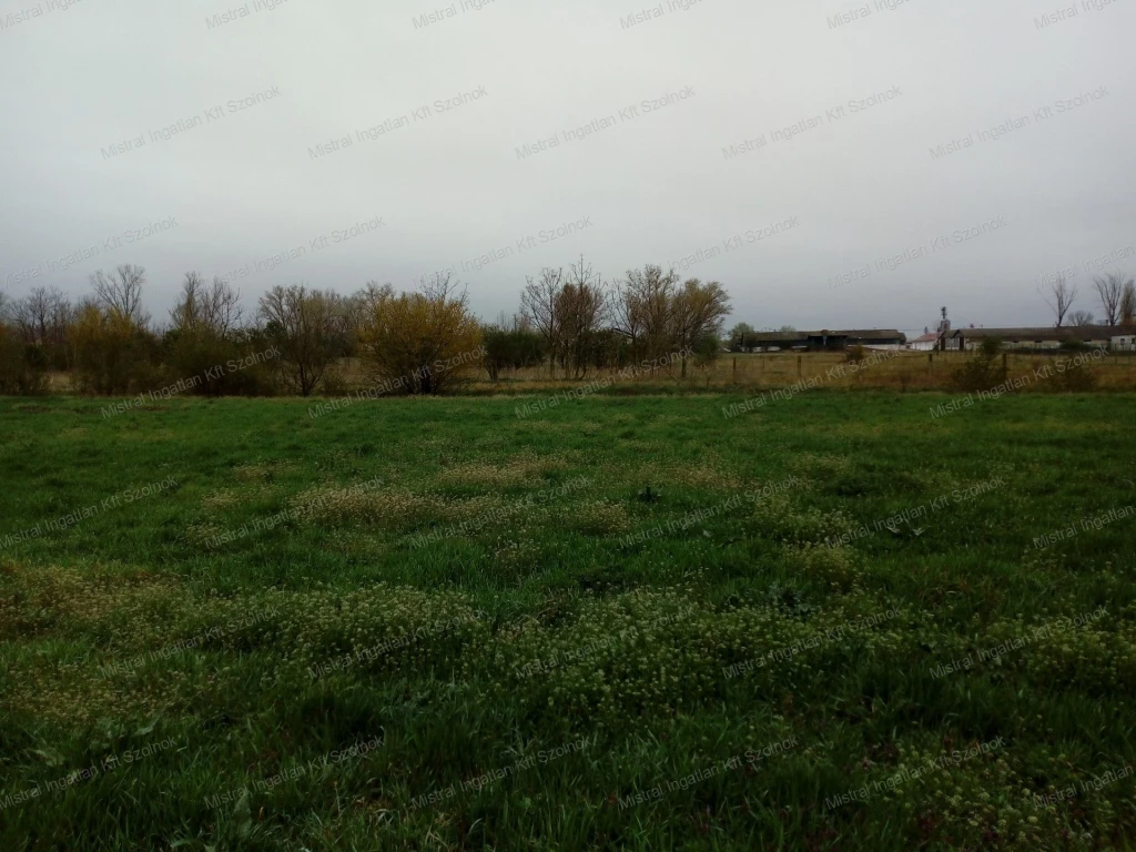 For sale lot, acreage, Szolnok, Ugar