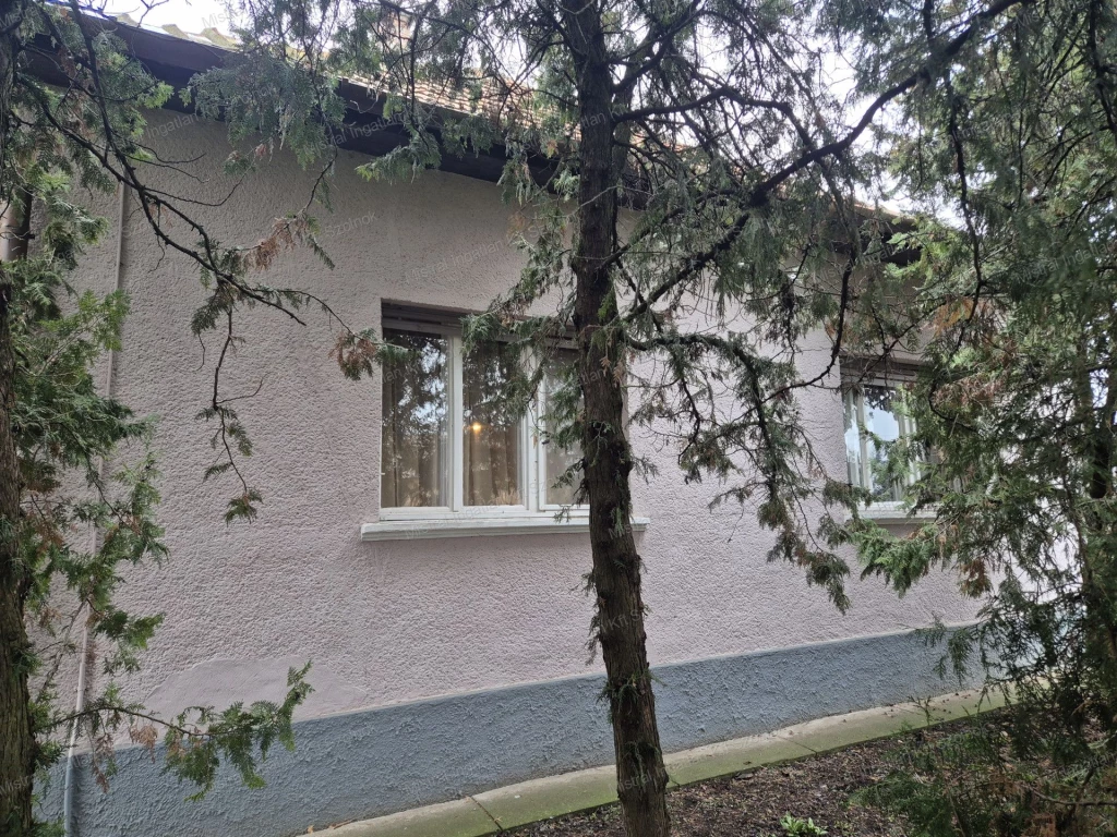 Szászberek freventált rászén családi ház eladó!