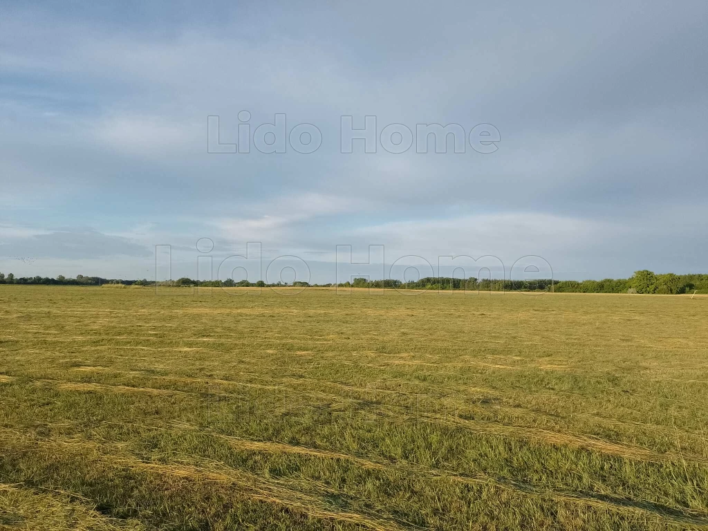 For sale plough-land, pasture, Mezőszentgyörgy