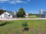 Gárdony
