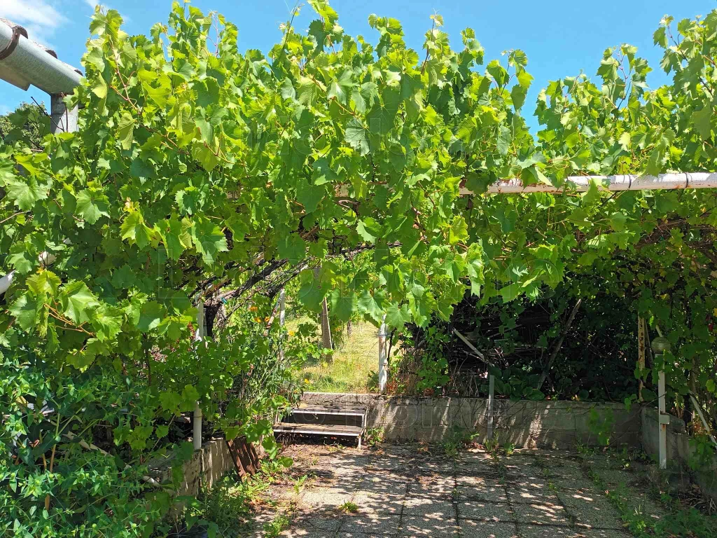 Eladó családi ház Csókakőn