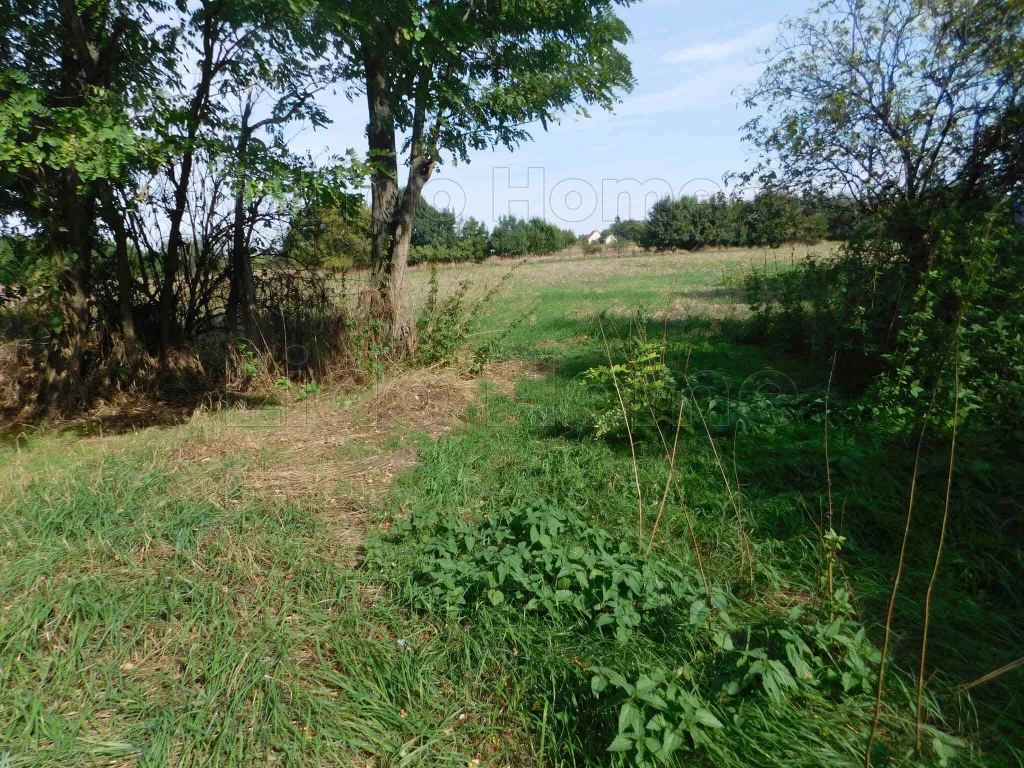 Eladó építési telek Abán