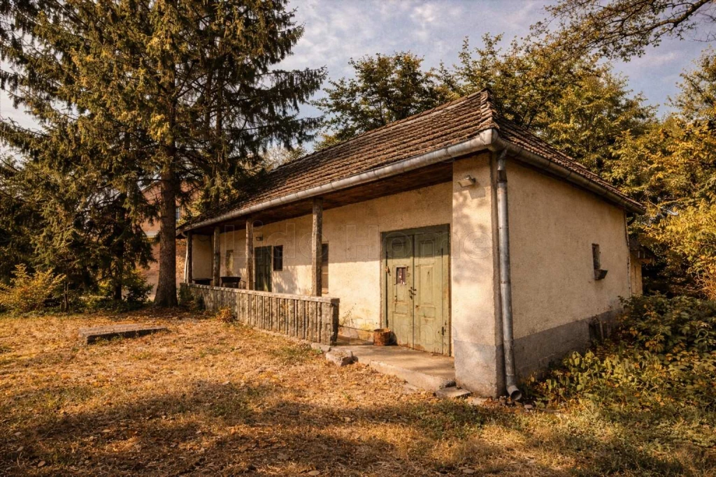 Bakonyi panorámás parasztház – a nyugalom szerelmeseinek