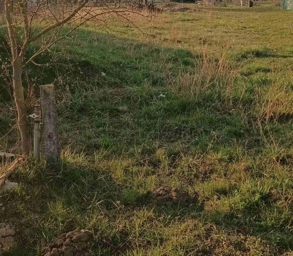 Eladó építési telek Söréden