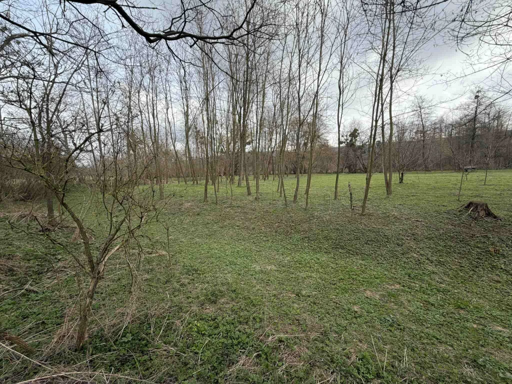 Gazdálkodók figyelem! Kivételes lehetőség a Bakonyban – 2980 m²-es szántó eladó Jásd csendes, fejlődő részén!