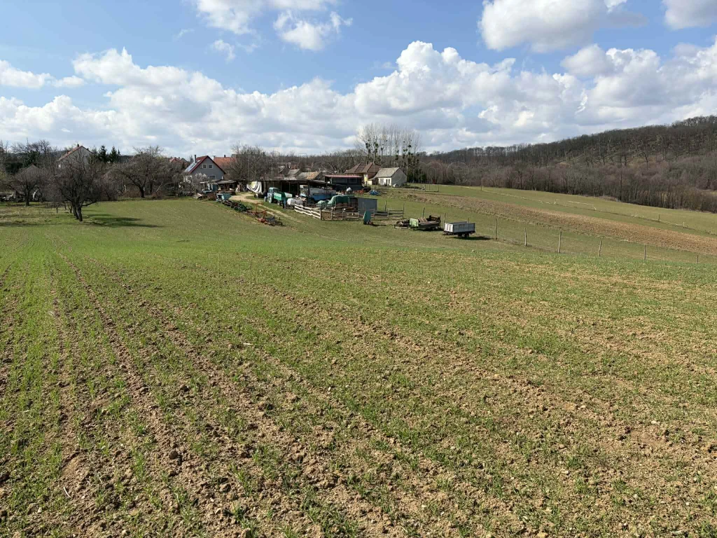 Panorámás telekrész eladó a Bakony szívében – Dudar