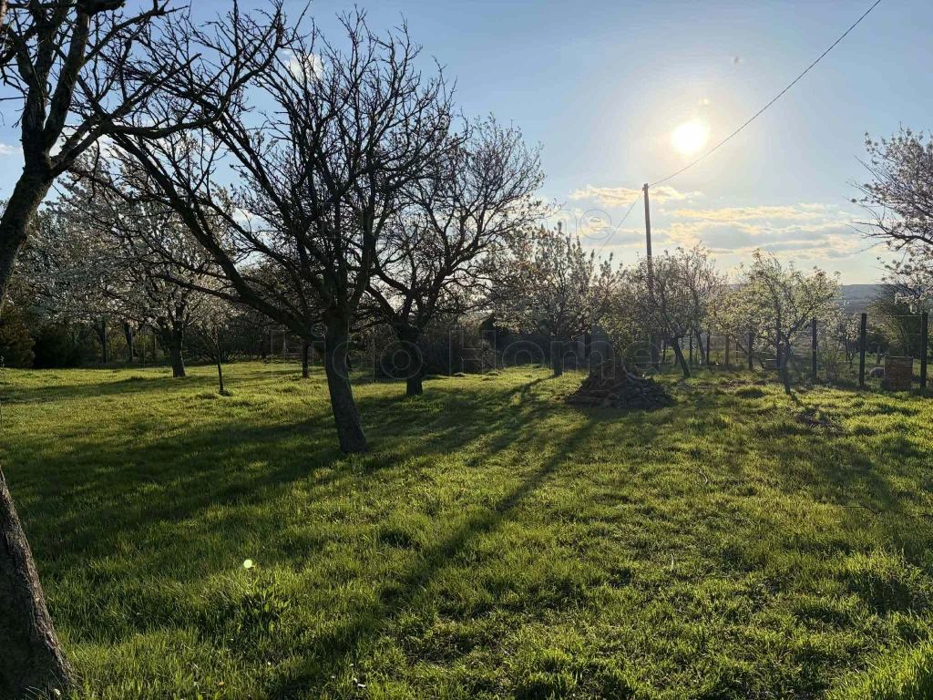 PANORÁMÁS ZÁRTKERT ELADÓ VÁRPALOTÁN – TERMÉSZET, NYUGALOM, LEHETŐSÉG EGY HELYEN!