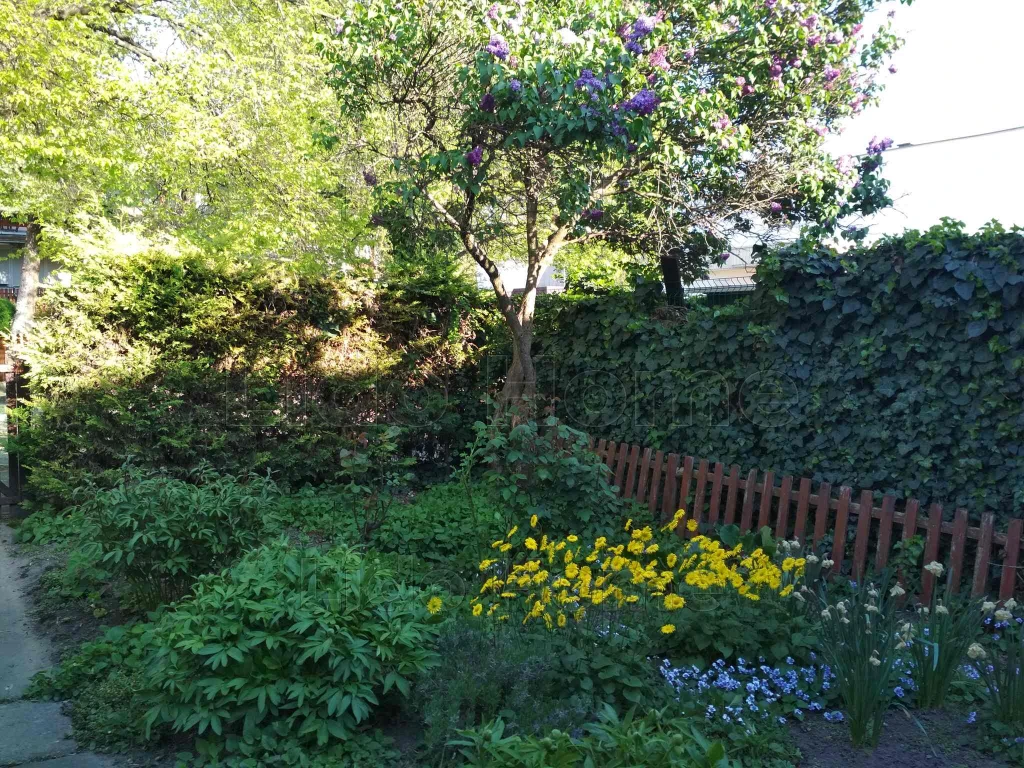 c3-1-name c2-20-name, Székesfehérvár