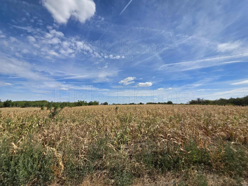 POLGÁRDI – SOMLYÓ ÚTON, 4469 m²-ES SZÁNTÓ ELADÓ!