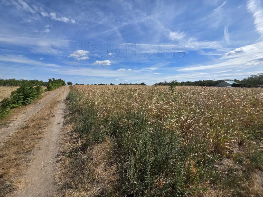 POLGÁRDI – IPARTELEPEKEN 9.197 m²-ES MEZŐGAZDASÁGI TERÜLET ELADÓ!