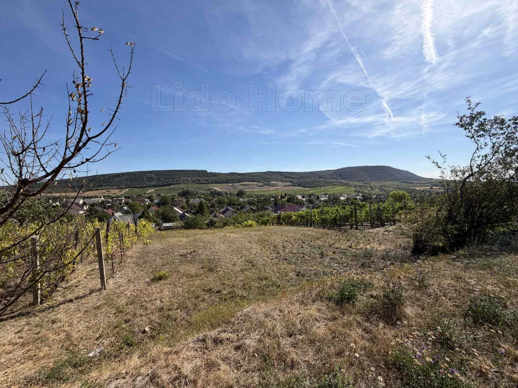 PANORÁMA, CSEND, TERMÉSZET – EGY KÜLÖNLEGES HELY MÓR TETEJÉN!