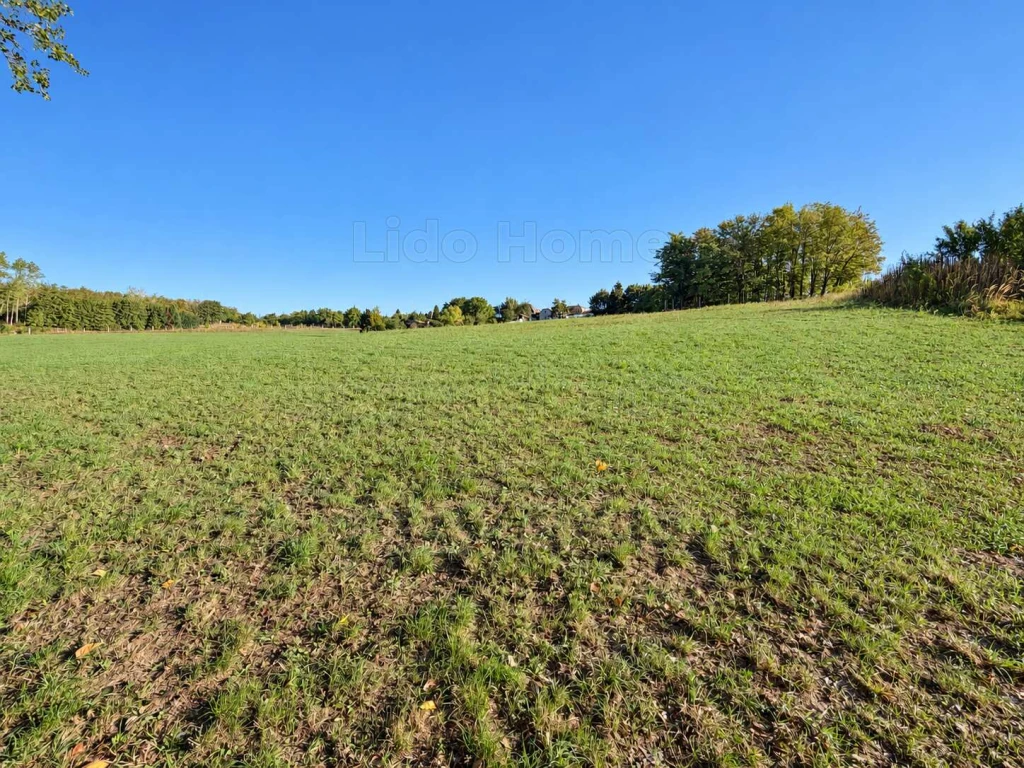 Bakonynána egyik legnyugodtabb zsákutcájában kínáljuk megvételre ezt a, 2585 m²-es építési telket.