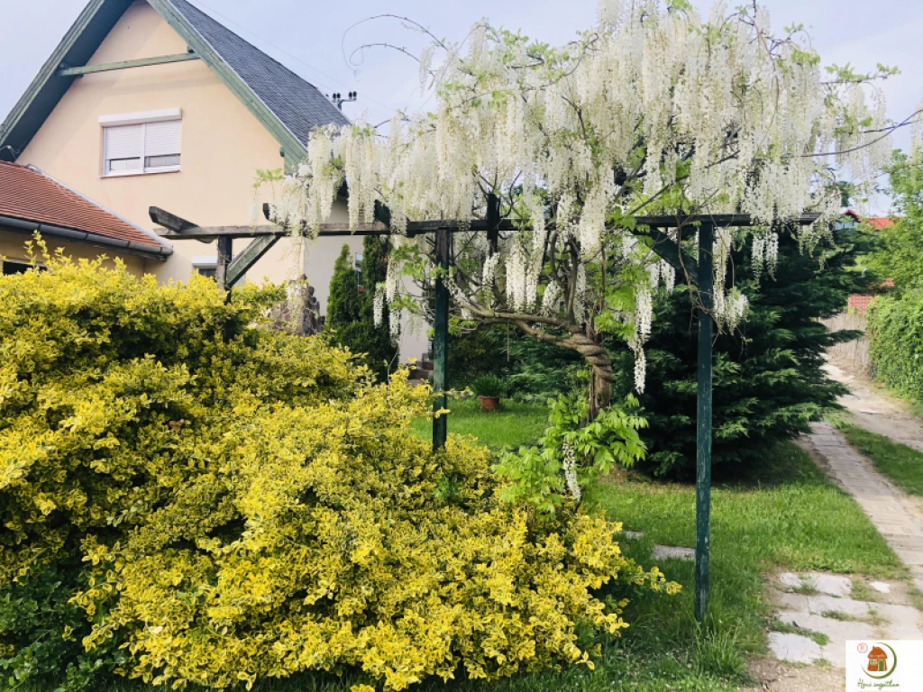 Eladó családi ház, Pilisszentiván, KÉT LAKÓHÁZ EGY NAGY TELKEN