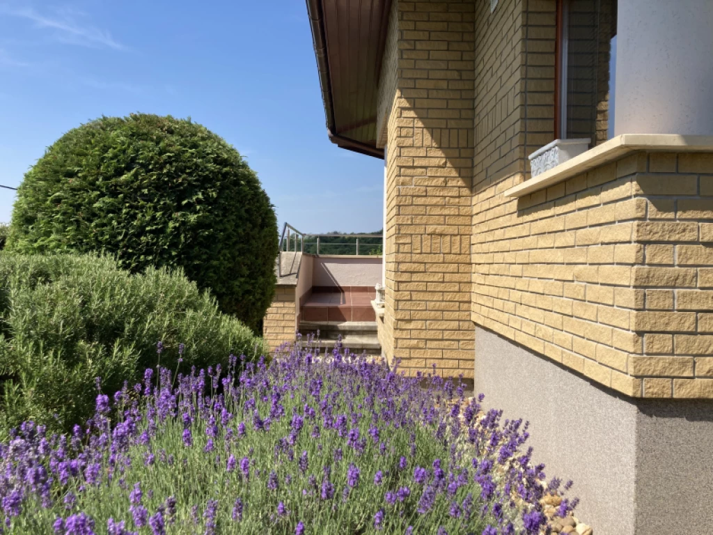 Eladó családi ház, Piliscsaba, Garancsliget, GARANCSLIGET