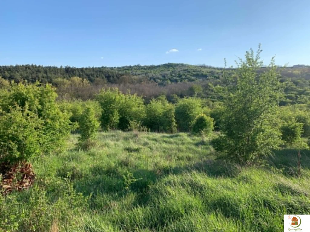 c3-1-name c2-53-name, Tinnye, Panorámás építési telek a festői Királyvölgyben