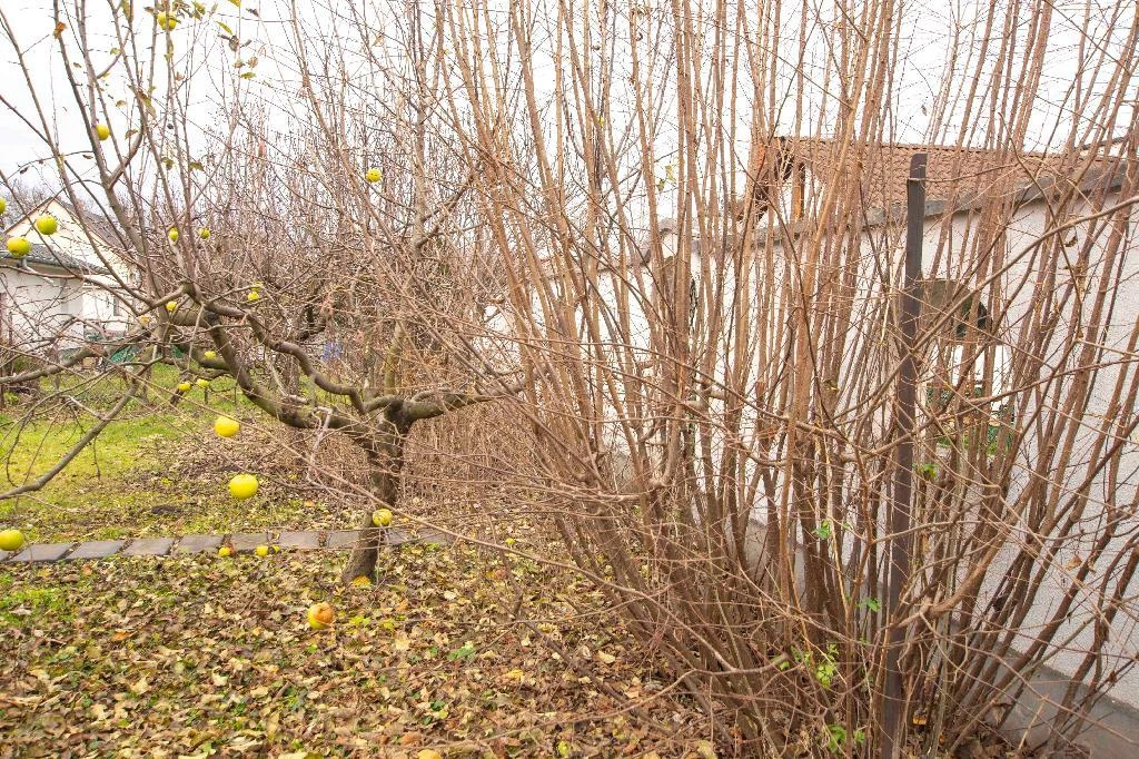 For sale building plot, Gárdony