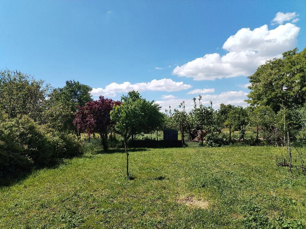 For sale house, Moha
