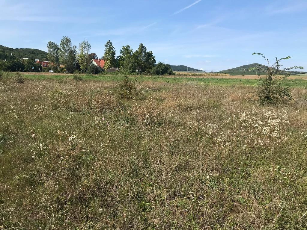 c3-1-name c2-53-name, Velence