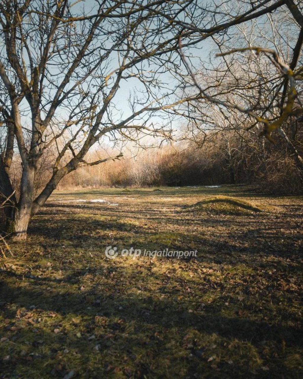 c3-1-name c2-50-name, Székesfehérvár