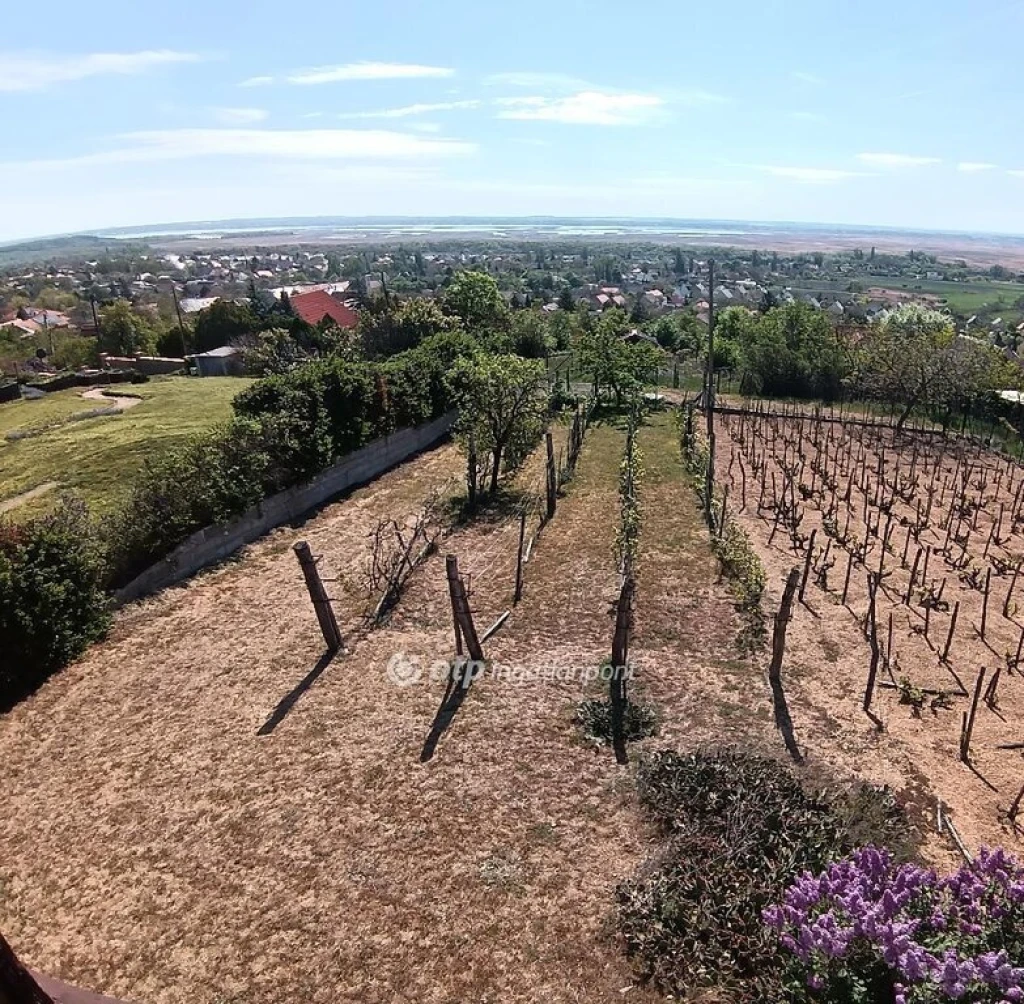 Eladó Telek, Pákozd