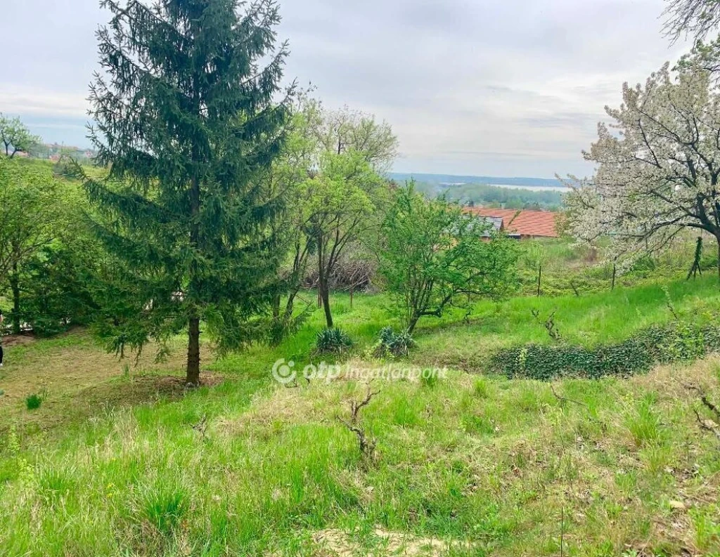 Eladó Telek, Sukoró