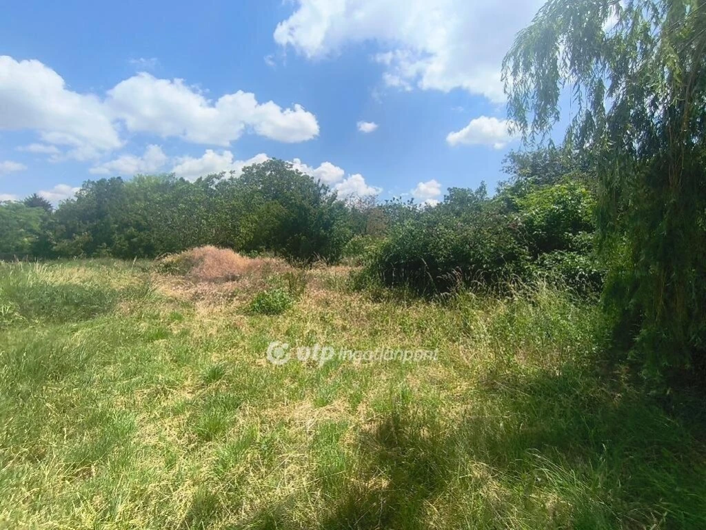 c3-1-name c2-50-name, Pusztaszabolcs