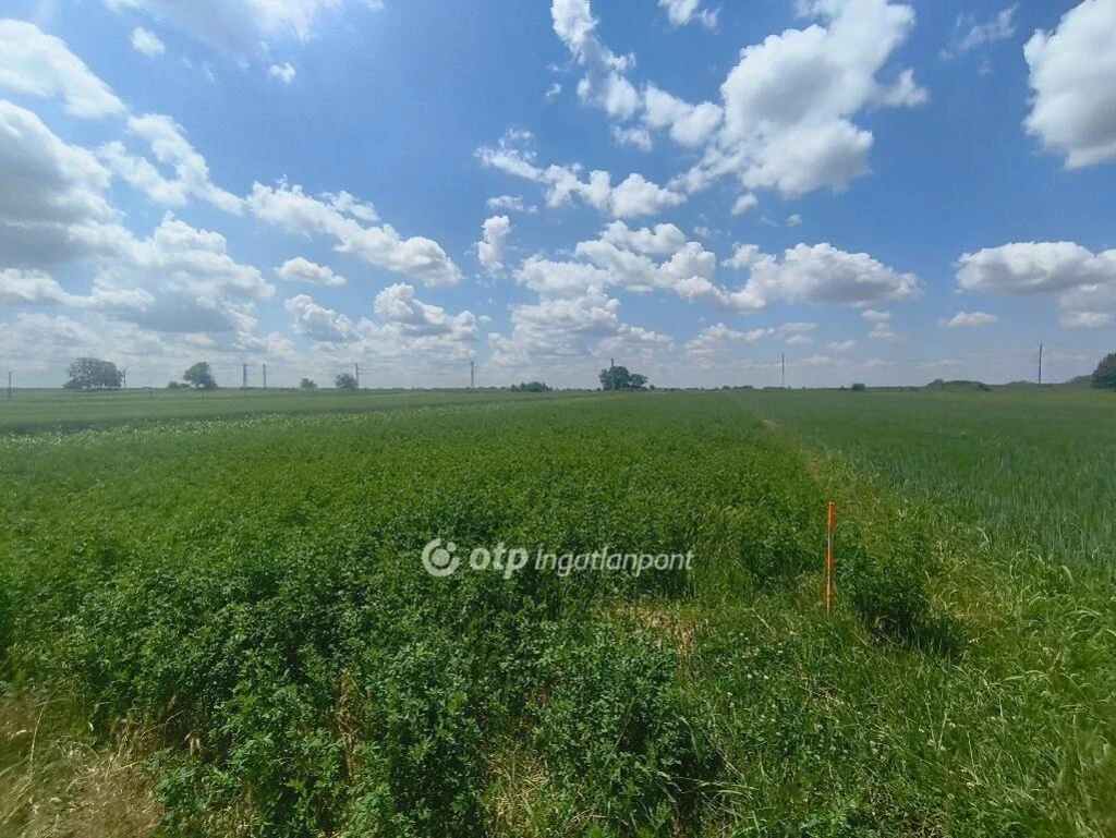 c3-1-name c2-50-name, Pusztaszabolcs