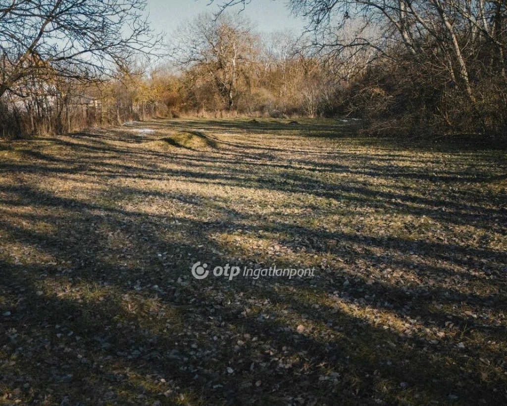 c3-1-name c2-50-name, Székesfehérvár