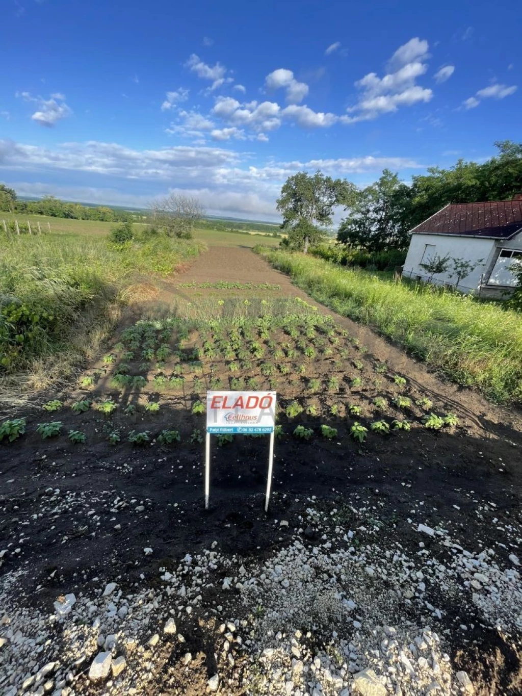 For sale closed garden, Kissomlyó