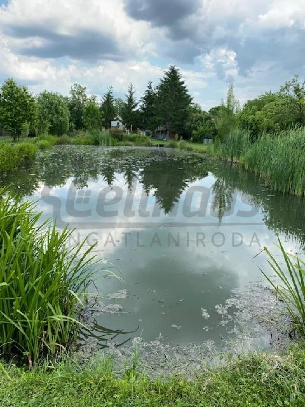 For sale house, Kiscsősz