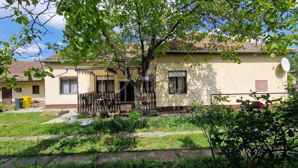 For sale house, Kétegyháza