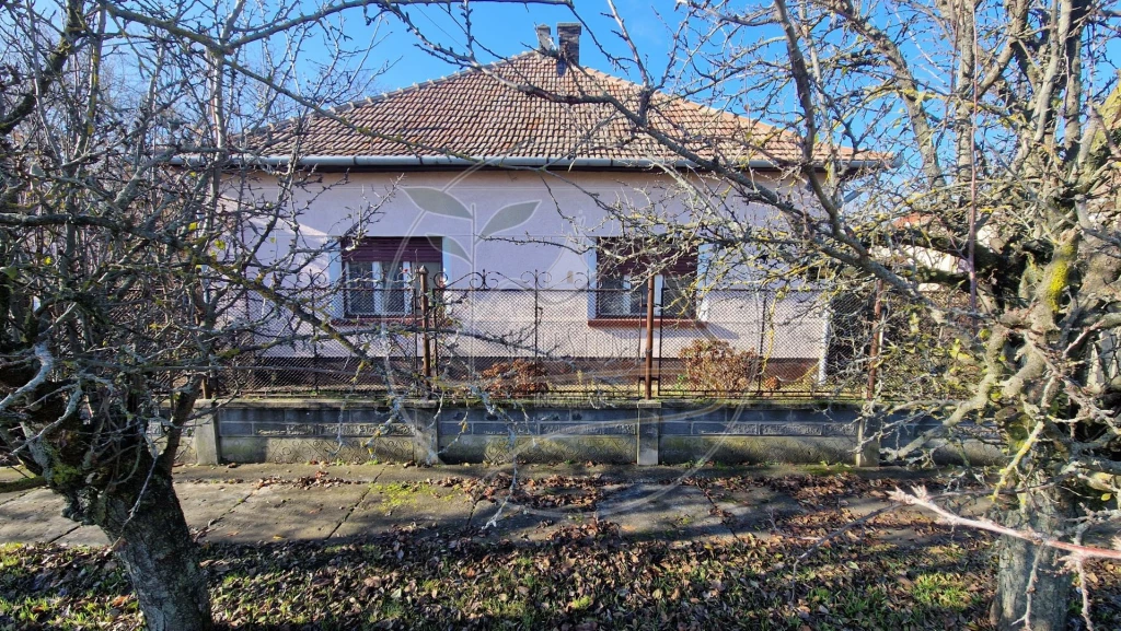 c3-1-name c2-1-name, Újkígyós